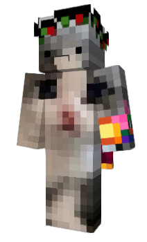 Minecraft skin Meerny