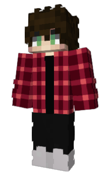 Minecraft skin FriendlyD