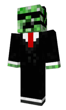 Minecraft skin Plcu