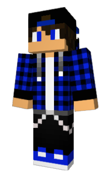 Minecraft skin Vnmi