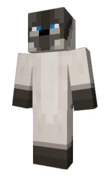 Minecraft skin Volaco