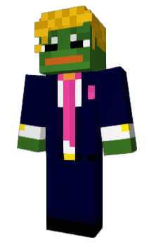 Minecraft skin 250g