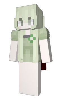 Minecraft skin starwarriorx