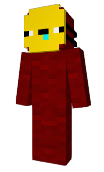 Minecraft skin NoAccess