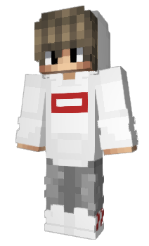 Minecraft skin NewCase