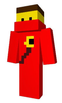 Minecraft skin BatmanRobin