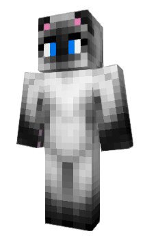 Minecraft skin CatPL