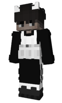 Minecraft skin fecy