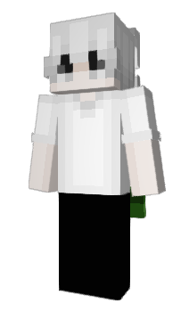 Minecraft skin xVerif