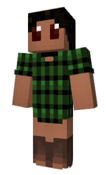 Minecraft skin Tollbooth