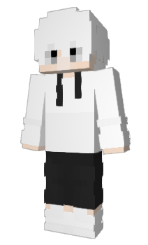Minecraft skin VNG3LL