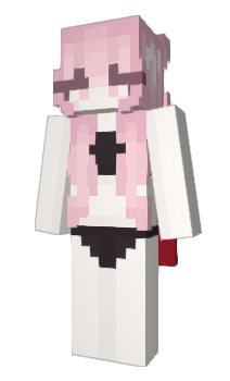 Minecraft skin Havel