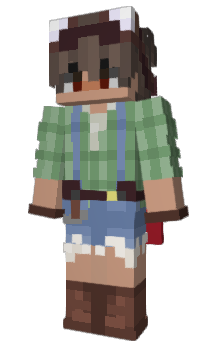 Minecraft скін по ніку erkx