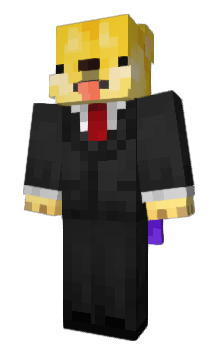 Minecraft skin Babri