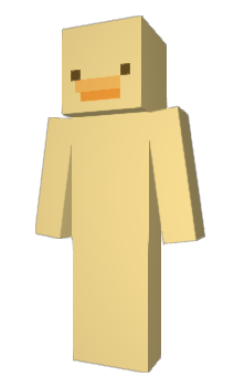 Minecraft skin metiloranj