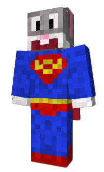 Minecraft skin Sandhu