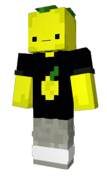 Minecraft skin L1M10