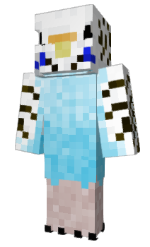 Minecraft скін по ніку Birbgie