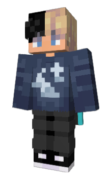 Minecraft skin xdMeister