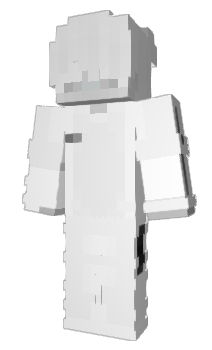 Minecraft skin Parket