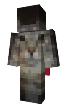 Minecraft skin kasf