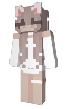 Minecraft skin sk8s