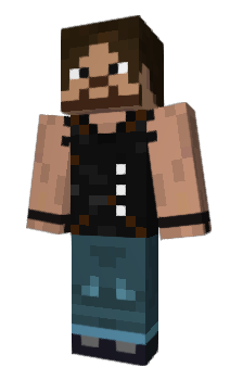 Minecraft skin dMdH