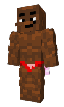 Minecraft skin IMAP_OES
