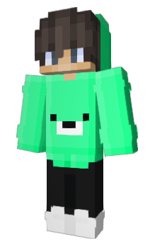 Minecraft skin bic100