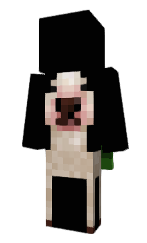 Minecraft skin Florks