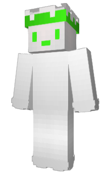 Minecraft skin Vollay