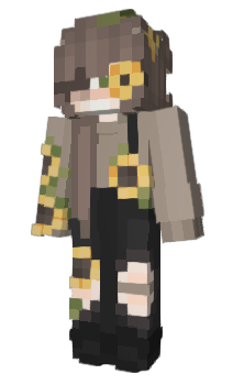 Minecraft skin p5ng