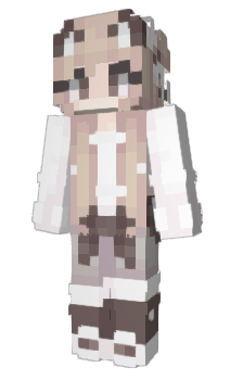 Minecraft skin dumweeb