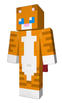 Minecraft скин по нику wojkam