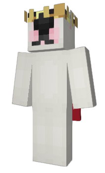 Minecraft skin DrakeMeat