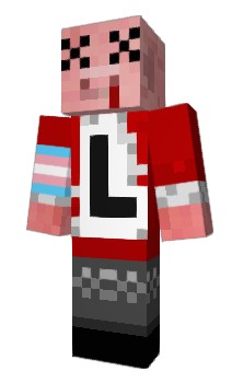 Minecraft skin technoisinhell
