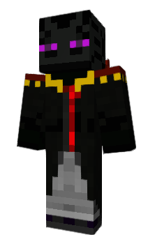 Minecraft skin warbird