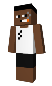 Minecraft skin 5pl