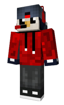 Minecraft skin java21