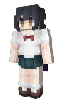 Minecraft skin NHCM