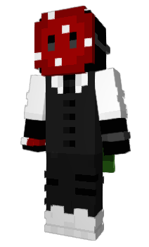 Minecraft skin VERDEM