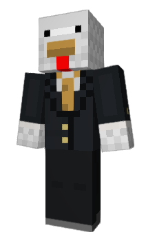 Minecraft skin fmc6143