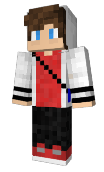 Minecraft skin HTFU