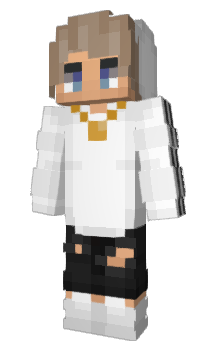 Minecraft skin Punz