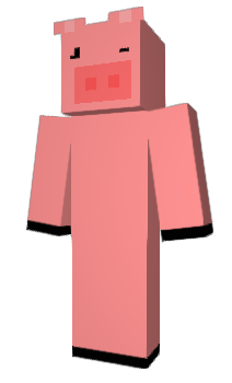 Minecraft skin starop