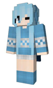 Minecraft skin ancil