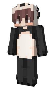 Minecraft skin zeviii