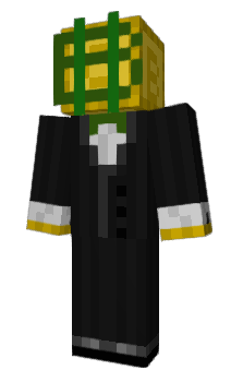 Minecraft skin Poloniex