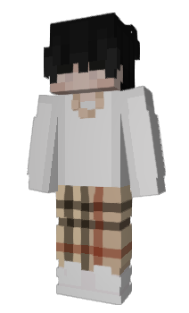 Minecraft skin Wonder9