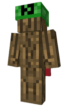 Minecraft skin 123name
